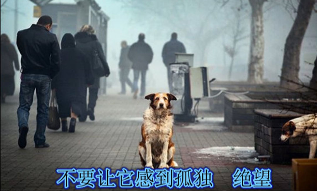 上饶爱影圈微博微信转发案例